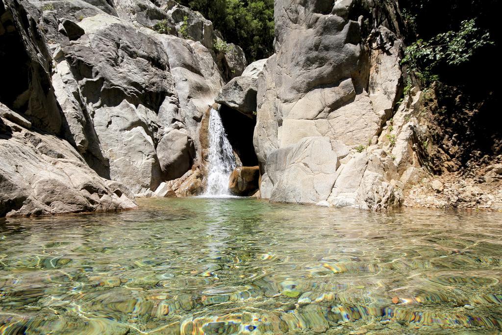Gite Du Chalet Pietri Olivese Kültér fotó