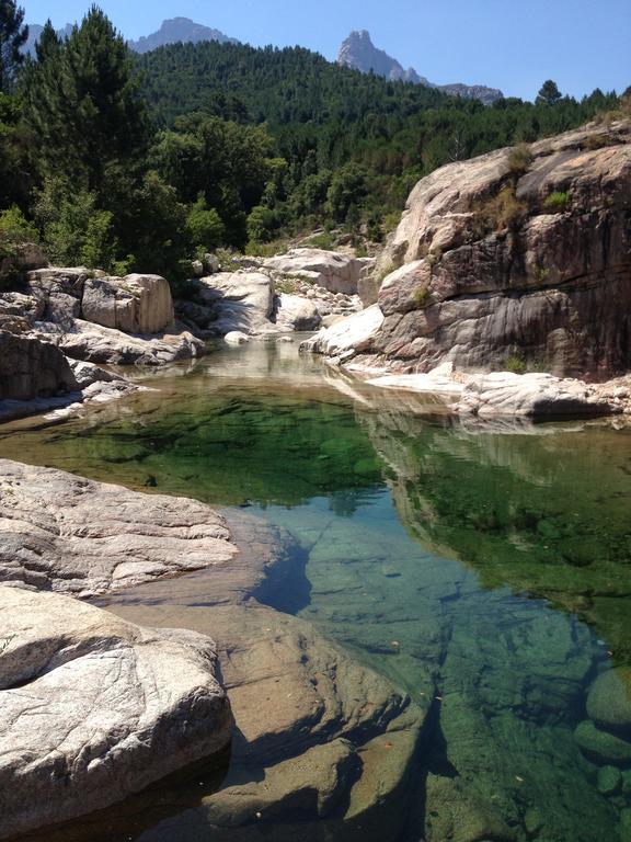 Gite Du Chalet Pietri Olivese Kültér fotó