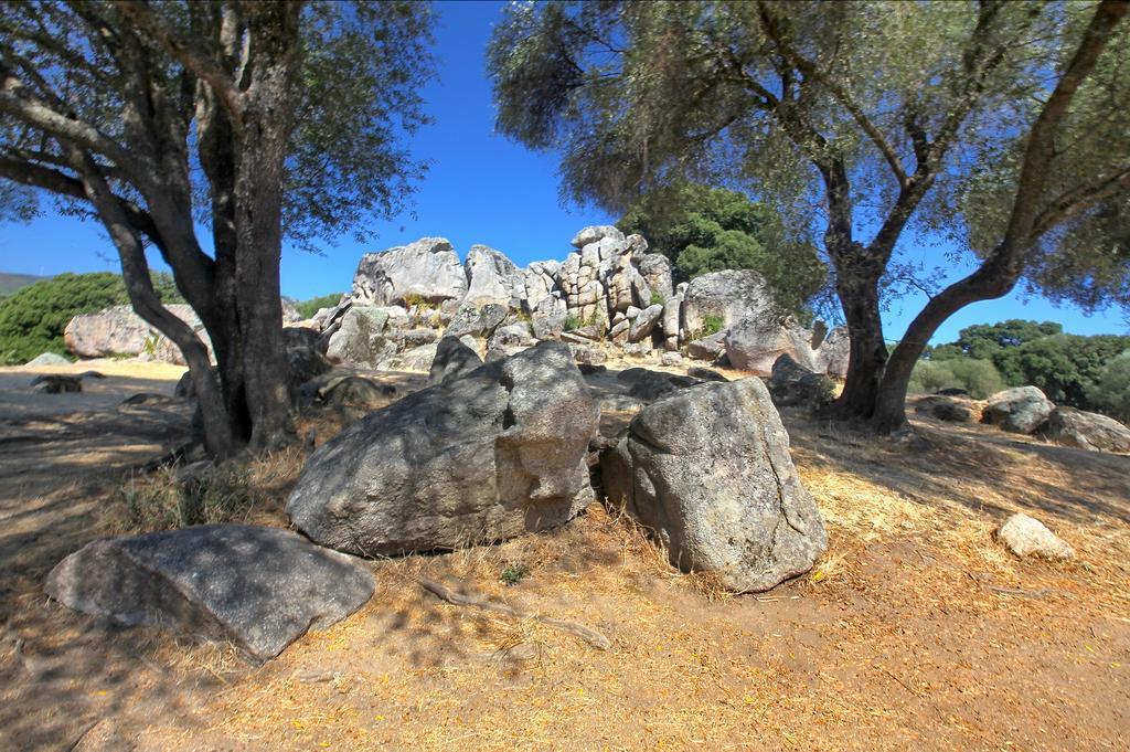 Gite Du Chalet Pietri Olivese Kültér fotó