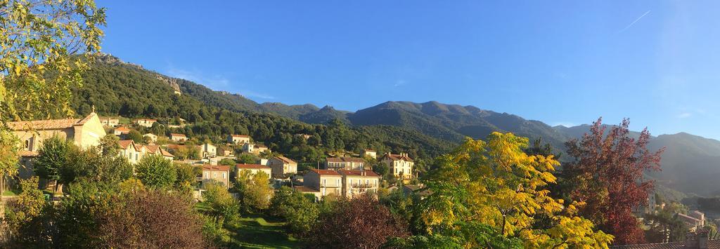 Gite Du Chalet Pietri Olivese Kültér fotó