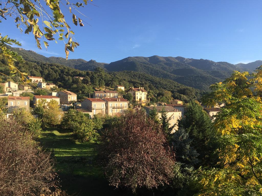 Gite Du Chalet Pietri Olivese Kültér fotó