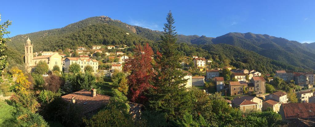 Gite Du Chalet Pietri Olivese Kültér fotó