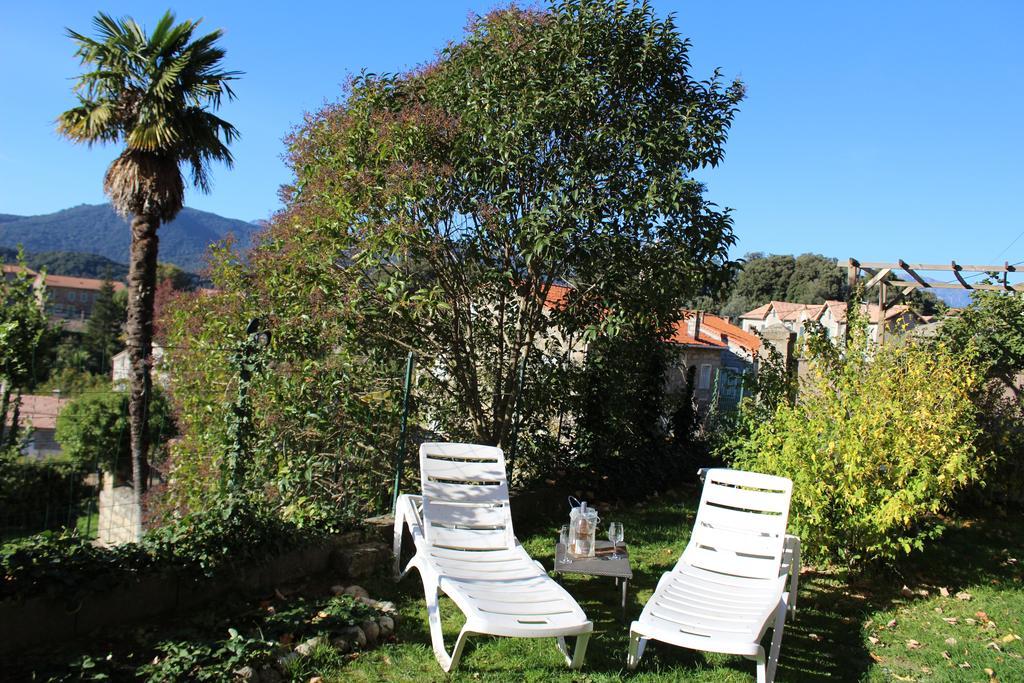 Gite Du Chalet Pietri Olivese Kültér fotó