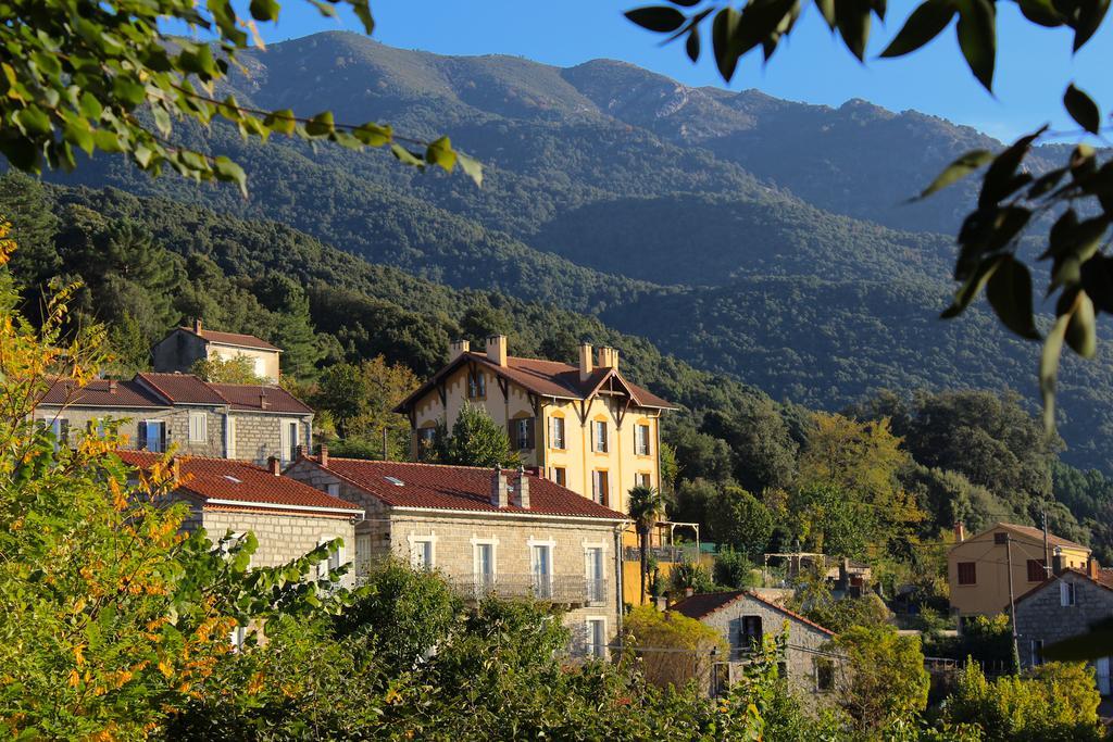 Gite Du Chalet Pietri Olivese Kültér fotó