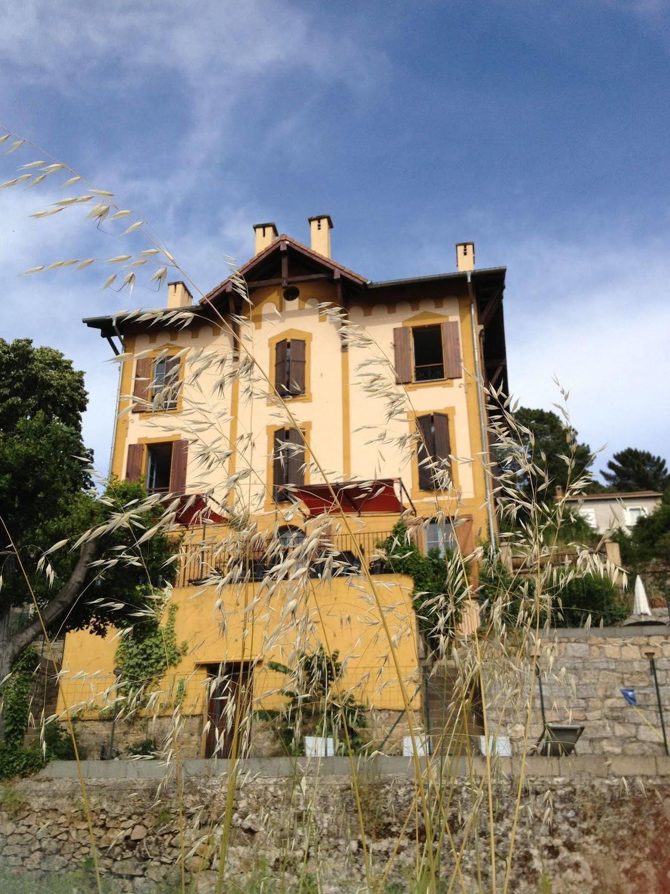 Gite Du Chalet Pietri Olivese Kültér fotó