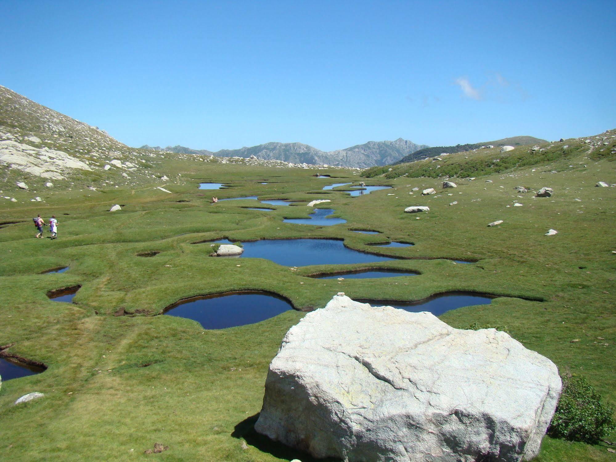 Gite Du Chalet Pietri Olivese Kültér fotó