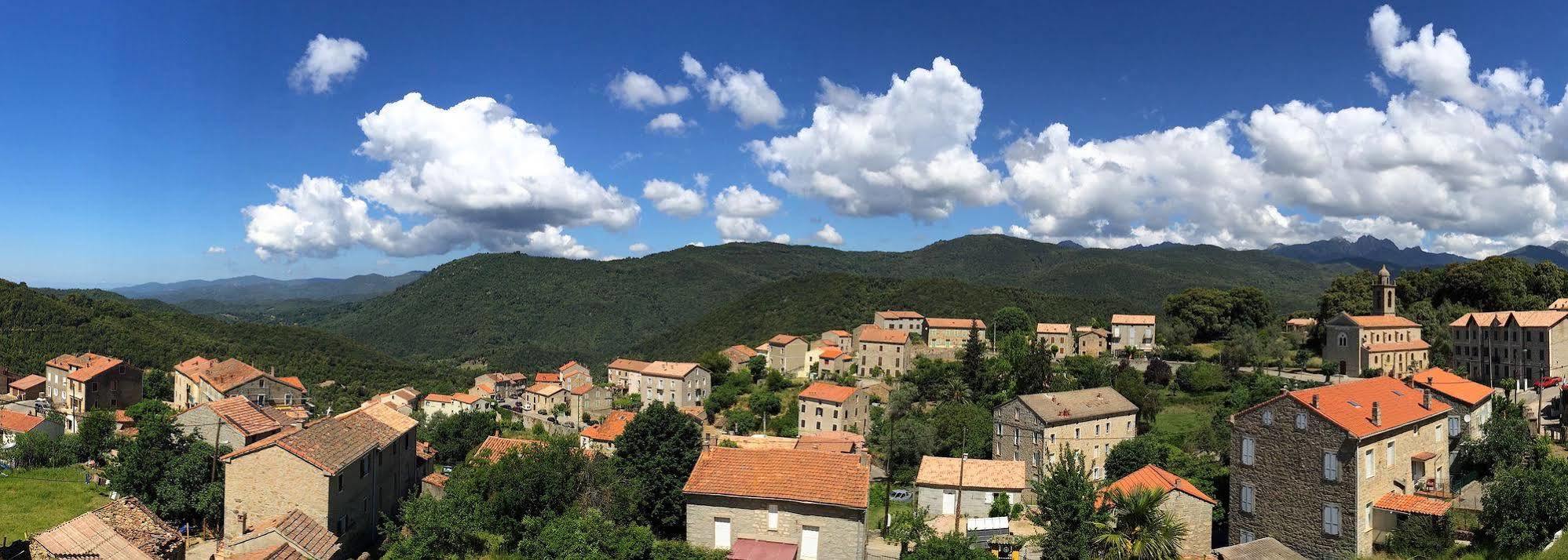 Gite Du Chalet Pietri Olivese Kültér fotó